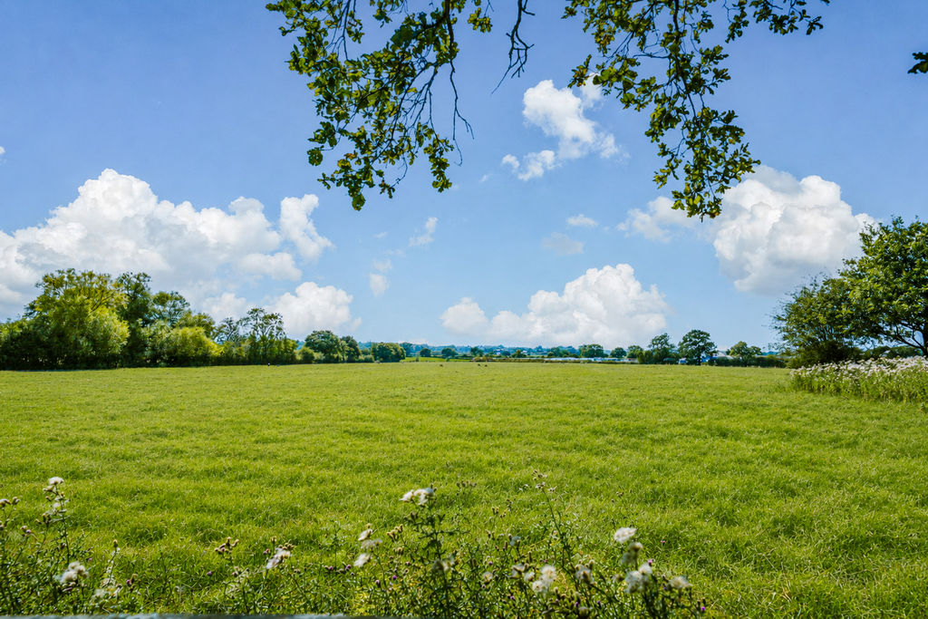 Leyland Lane